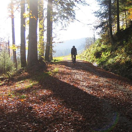 Hotel Lamm Baiersbronn Mitteltal エクステリア 写真