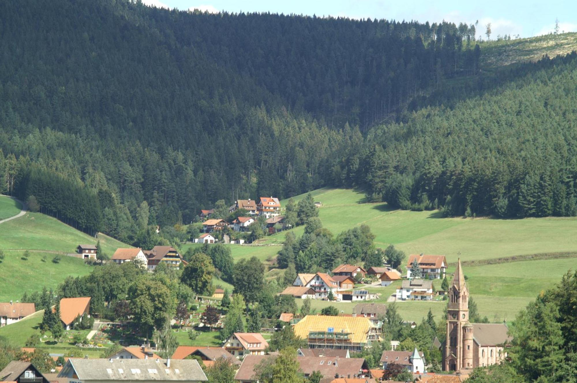 Hotel Lamm Baiersbronn Mitteltal エクステリア 写真